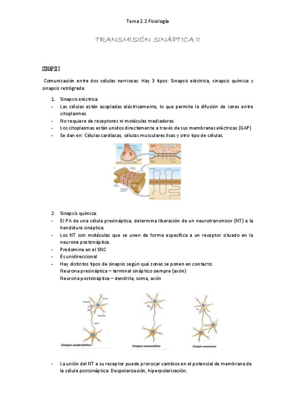 Miniatura del documento transmision-sinaptica-II-RESUMEN.pdf