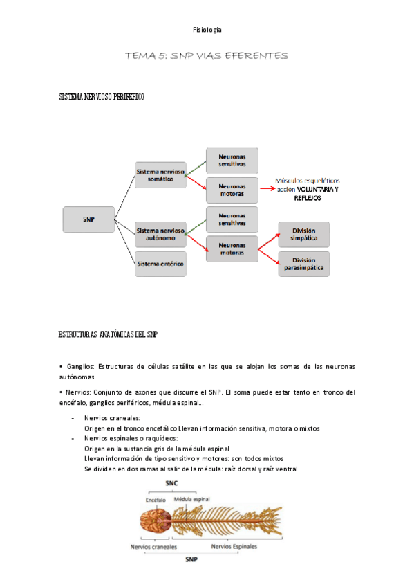 Miniatura del documento Resumen-tema-5.pdf