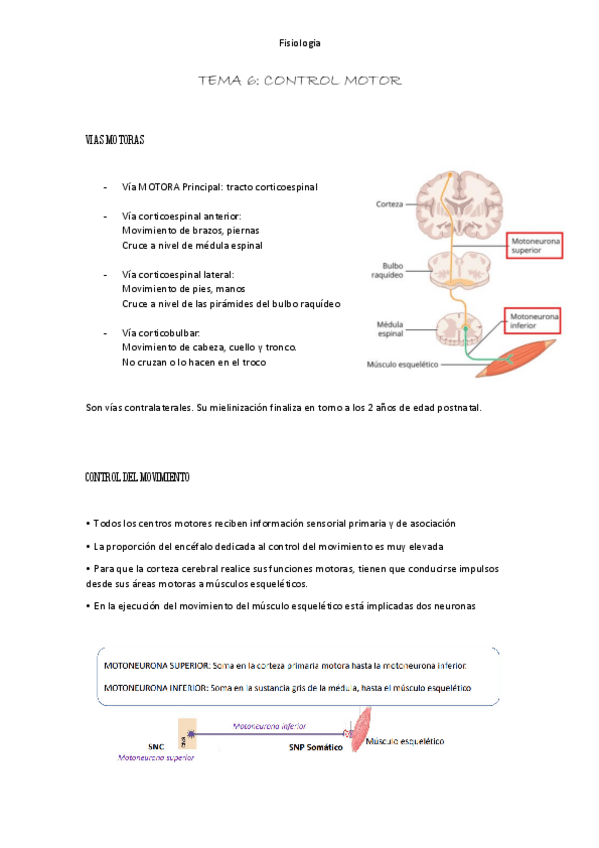 Miniatura del documento Resumen-tema-6.pdf