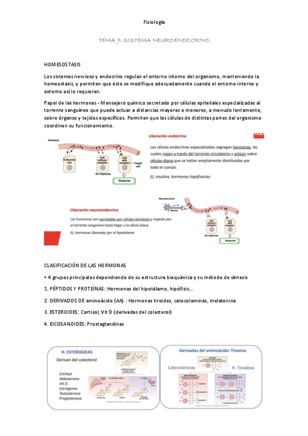 Miniatura del documento Resumen-tema-9.pdf