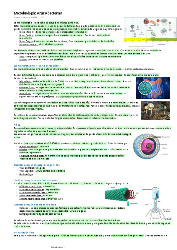 Miniatura del documento Microbiologia-virus-y-bacterias.pdf