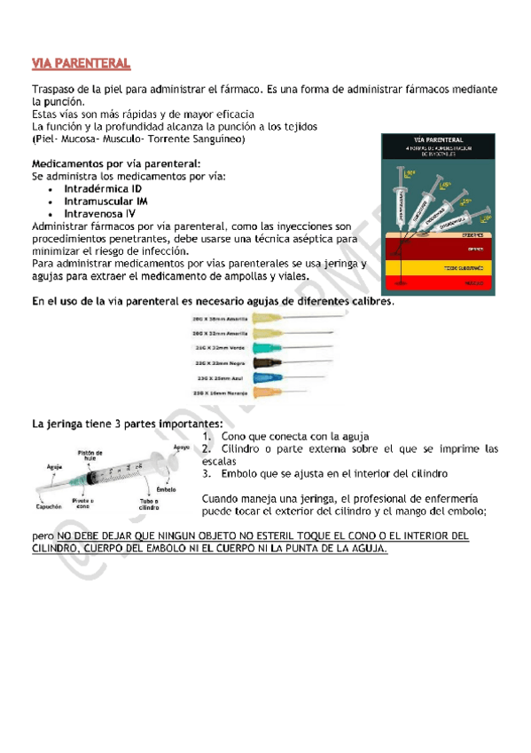 Miniatura del documento VIA-PARENTERAL-1.pdf