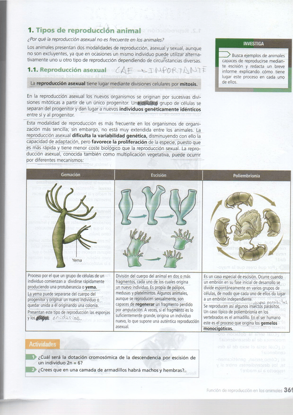 Miniatura del documento Tema-16.pdf