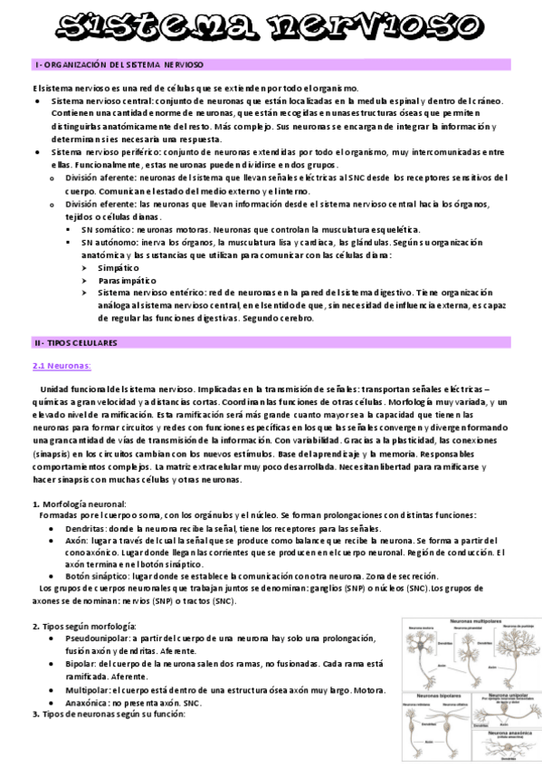Miniatura del documento tema-12.pdf