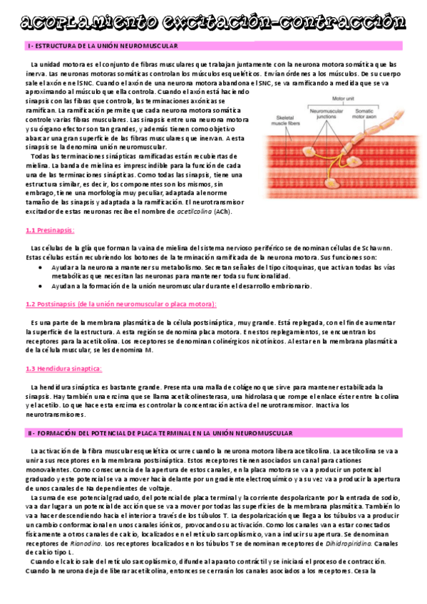 Miniatura del documento tema-8.pdf