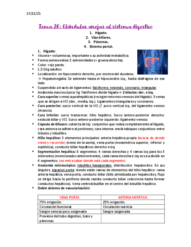 Miniatura del documento Glandulas-anejas-al-aparato-digestivo-apuntes.pdf