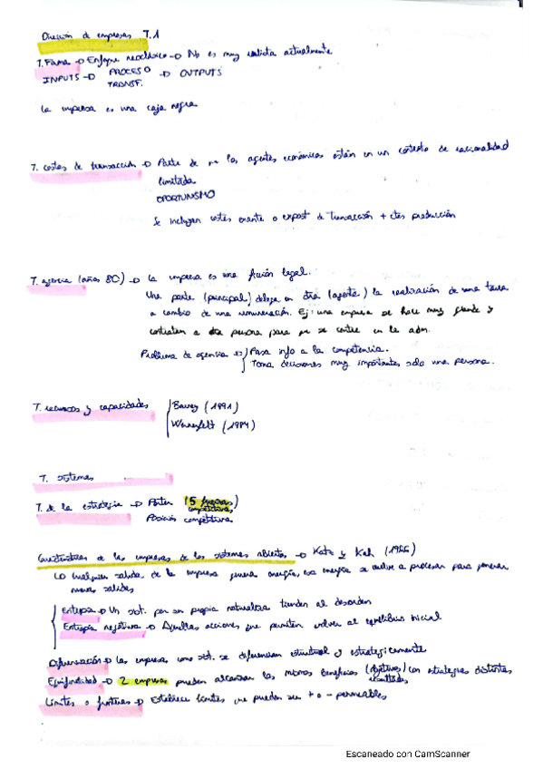 Miniatura del documento tema1-direccion-de-empresas.pdf