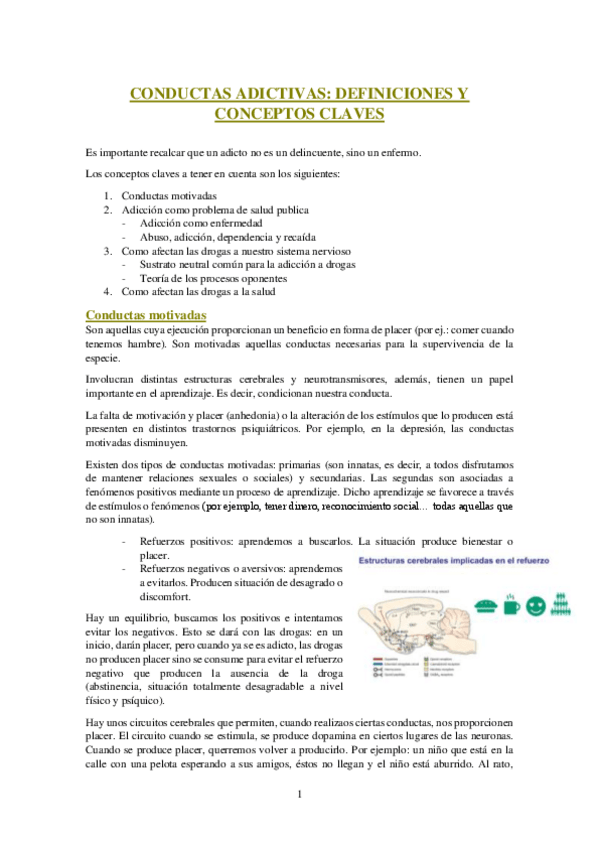 Miniatura del documento APUNTES.pdf