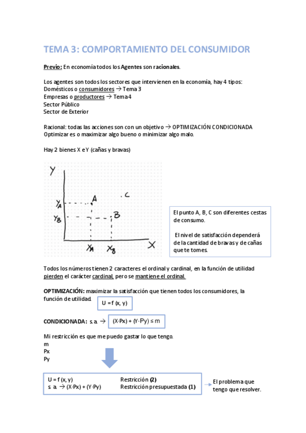 Miniatura del documento TEMA-3-5-PE.pdf
