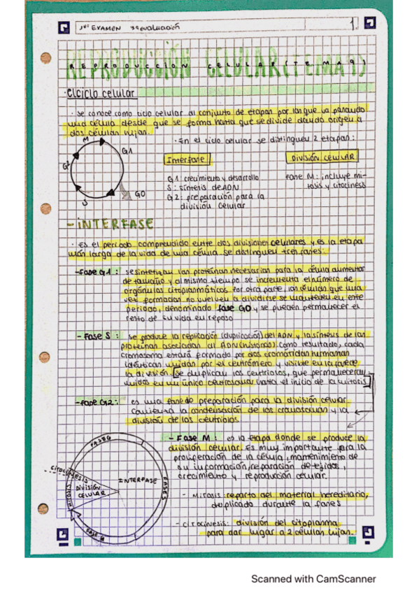 Miniatura del documento CamScanner-07-23-2022-12.pdf