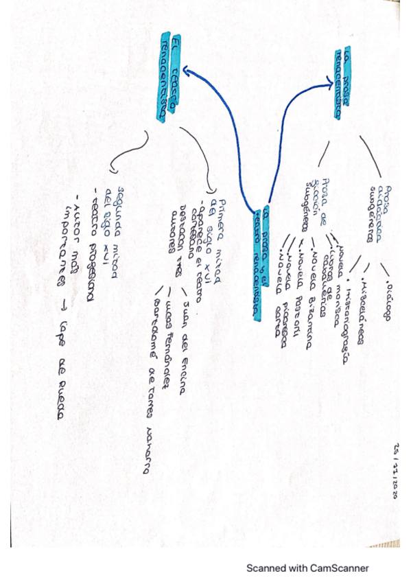 Miniatura del documento esquema-la-prosa-y-el-teatro-renacentist.pdf