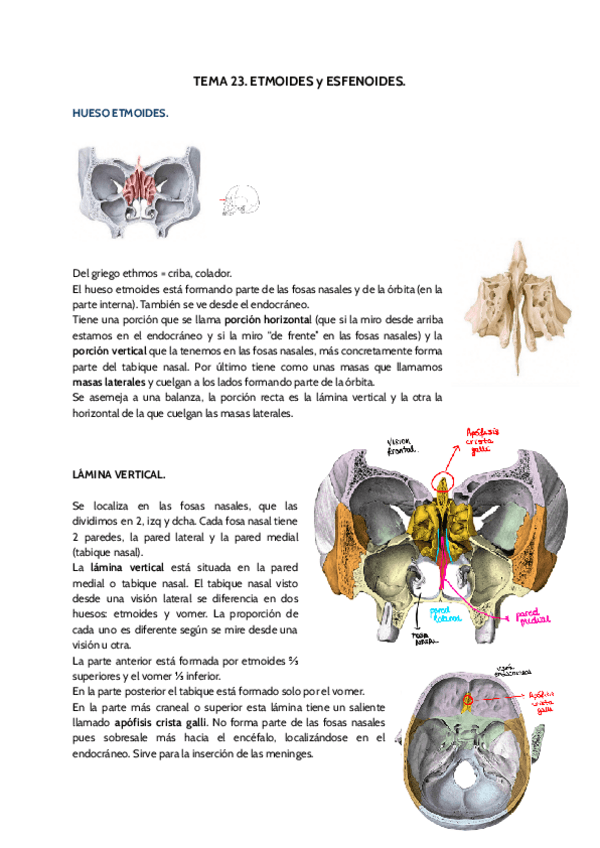 Miniatura del documento TEMA-23.pdf