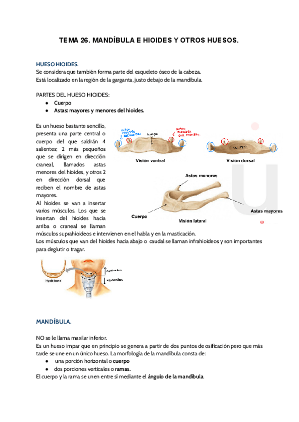 Miniatura del documento TEMA-26.pdf