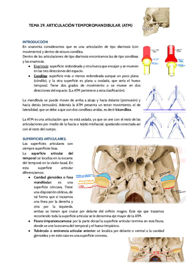 Miniatura del documento TEMA-29.pdf