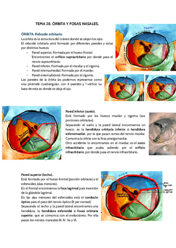 Miniatura del documento TEMA-28.pdf