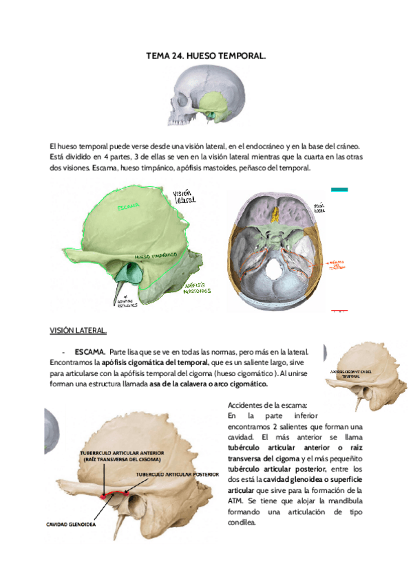 Miniatura del documento Tema-24.pdf