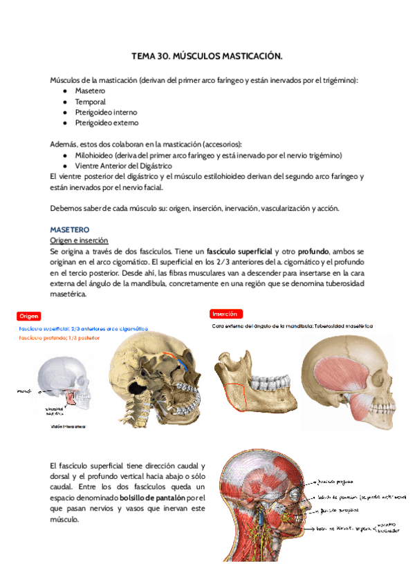 Miniatura del documento TEMA-30.pdf