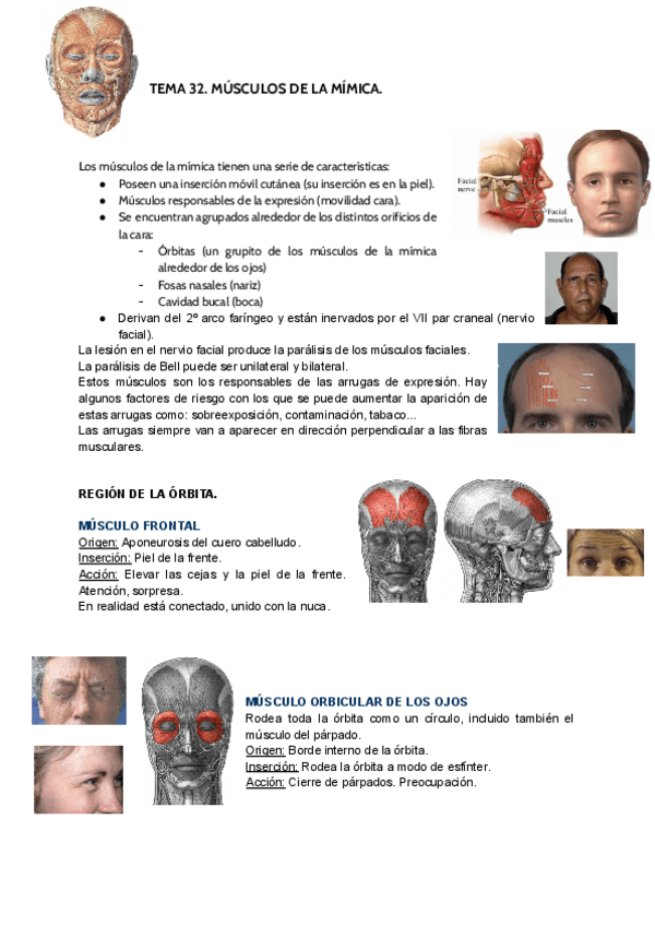Miniatura del documento TEMA-32.pdf