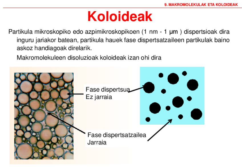 Miniatura del documento 9-Koloideak2021.pdf