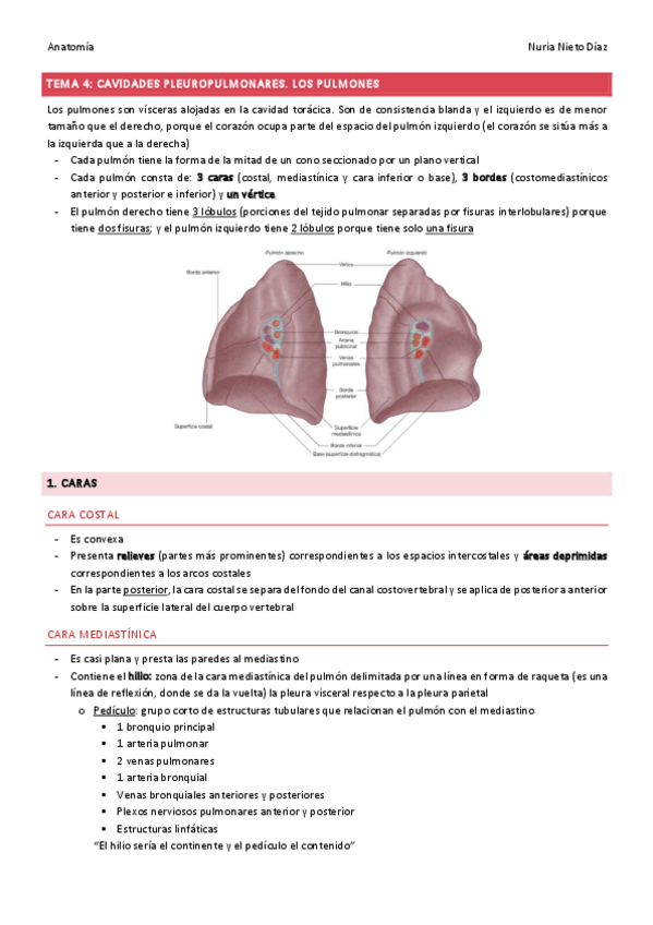 Miniatura del documento TEMA-4-Cavidades-pleuropulmonares.pdf