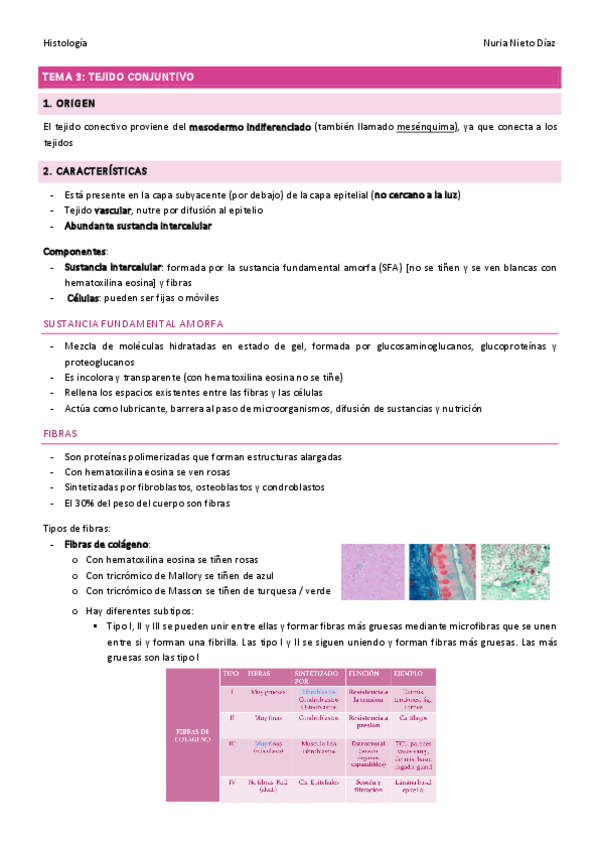 Miniatura del documento TEMA-3-Tejido-Conjuntivo.pdf