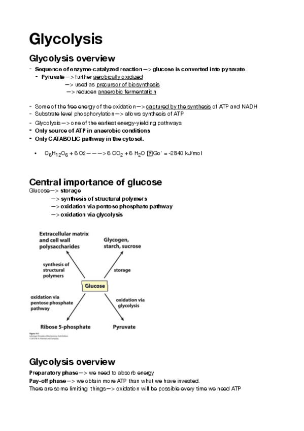 Miniatura del documento 12.pdf