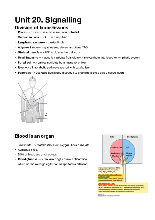 Miniatura del documento Unit-20-signalling.pdf