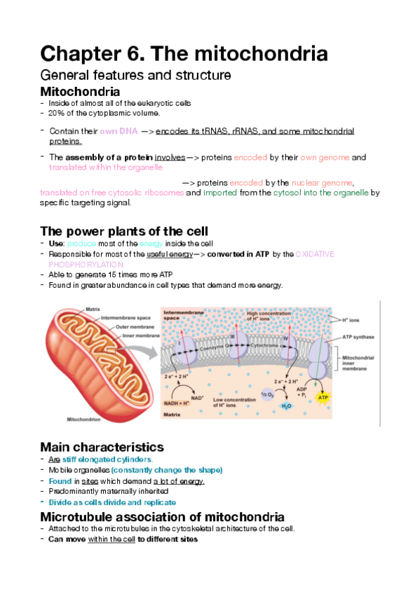 Miniatura del documento Chapter-6.pdf