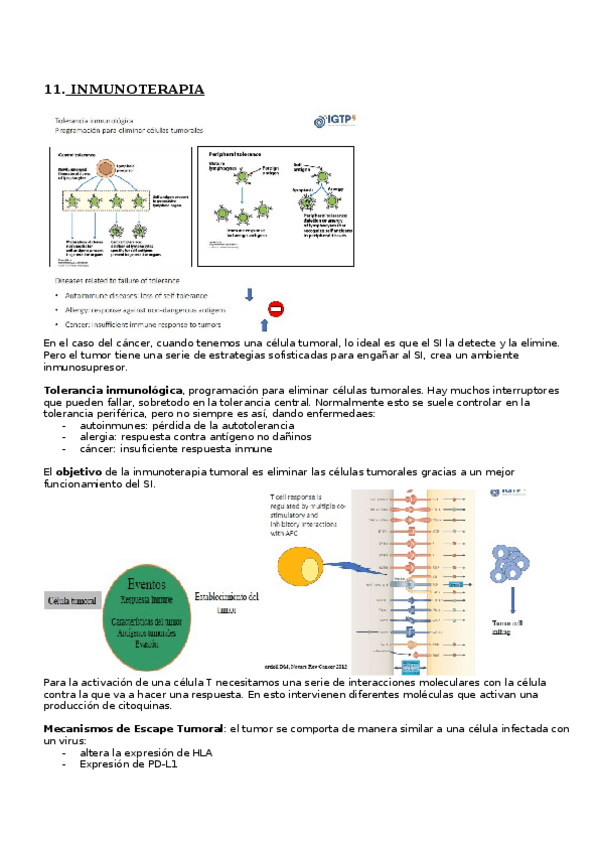 Miniatura del documento 11.INMUNOTERAPIA.docx
