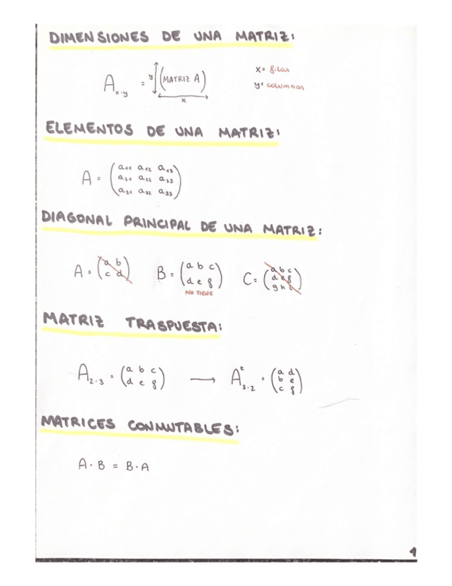 Miniatura del documento T9-MATRICES.pdf