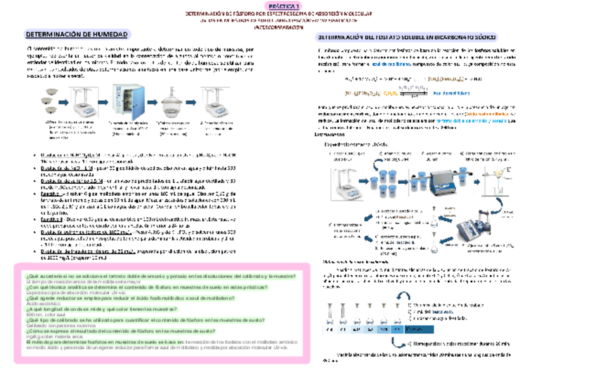 Miniatura del documento Resumen Practicas del Laboratorio