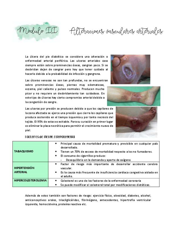 Miniatura del documento MODULOIIARTERIAL.pdf