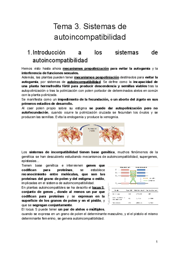 Miniatura del documento Tema-3.pdf