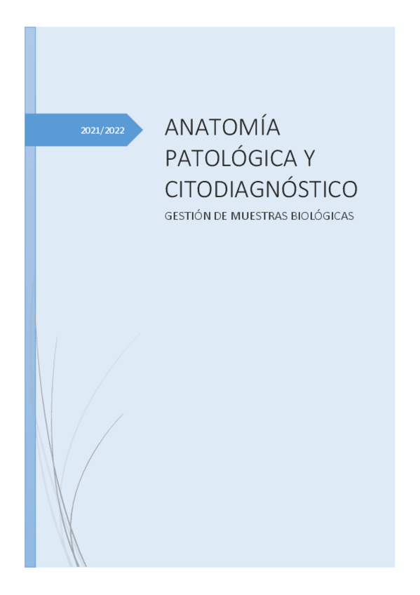 Miniatura del documento GMB-WORD-CUADERNO.pdf