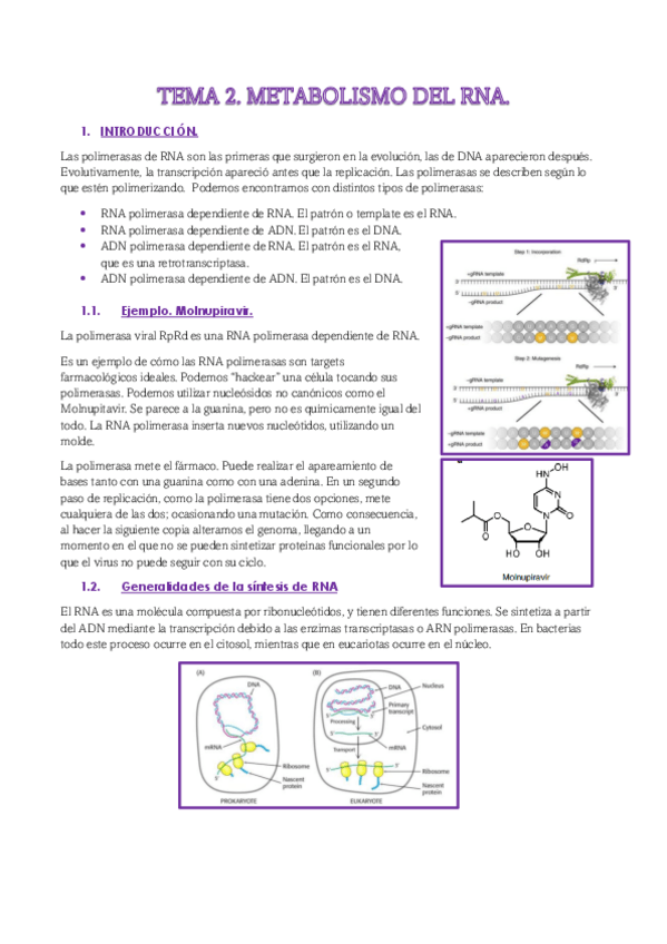Miniatura del documento TEMA-2.pdf