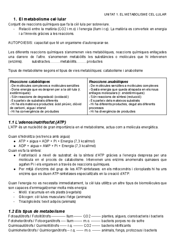 Miniatura del documento El metabolisme cel·lular