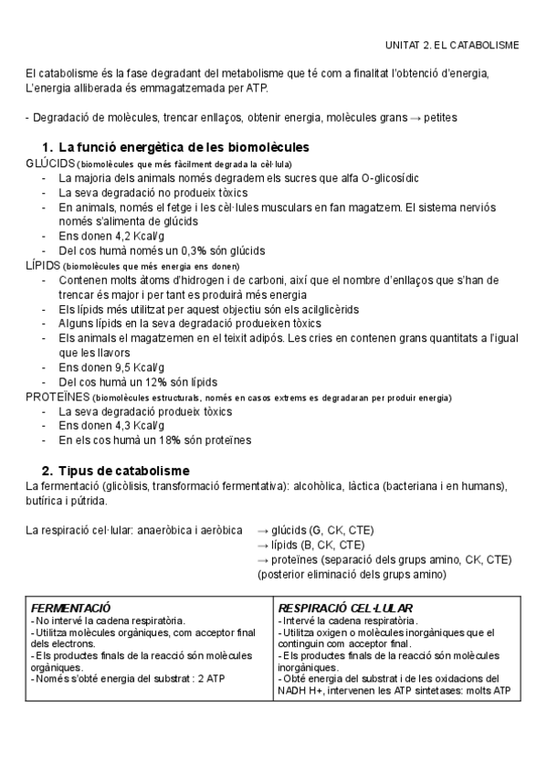 Miniatura del documento El catabolisme