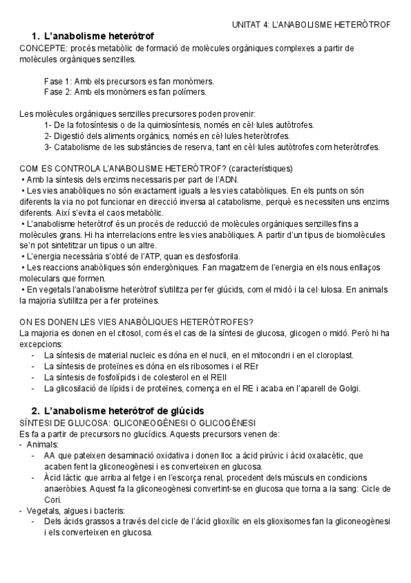 Miniatura del documento Anabolisme heteròtrof