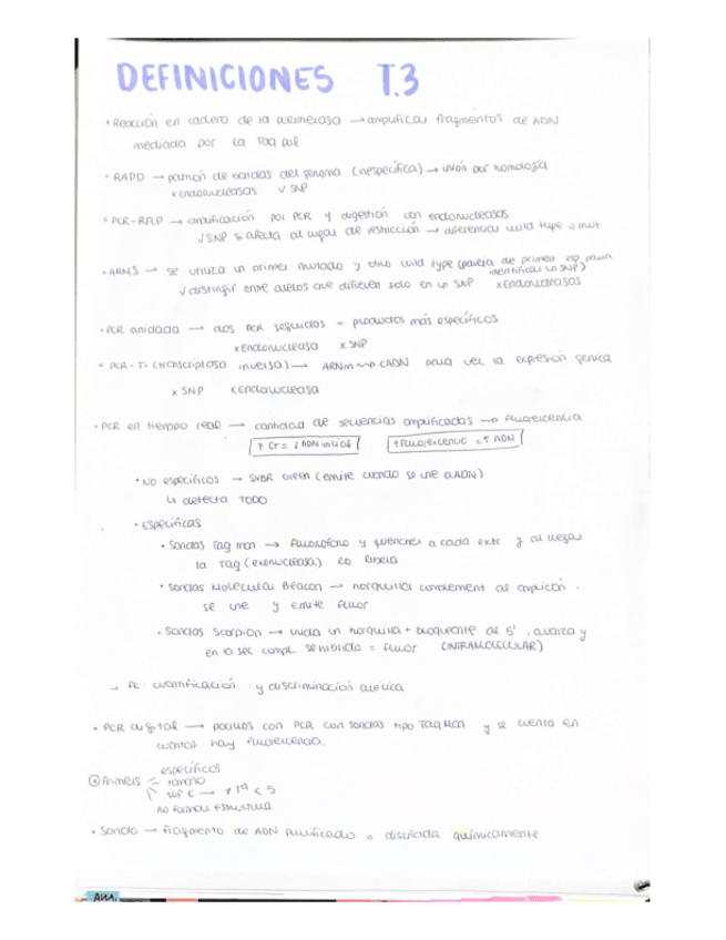 Miniatura del documento DEFINICIONES.pdf