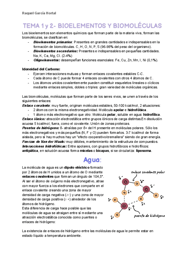 Miniatura del documento TEMA 1 y 2.BIOELEMENTO BIOMOLECULA EVAU