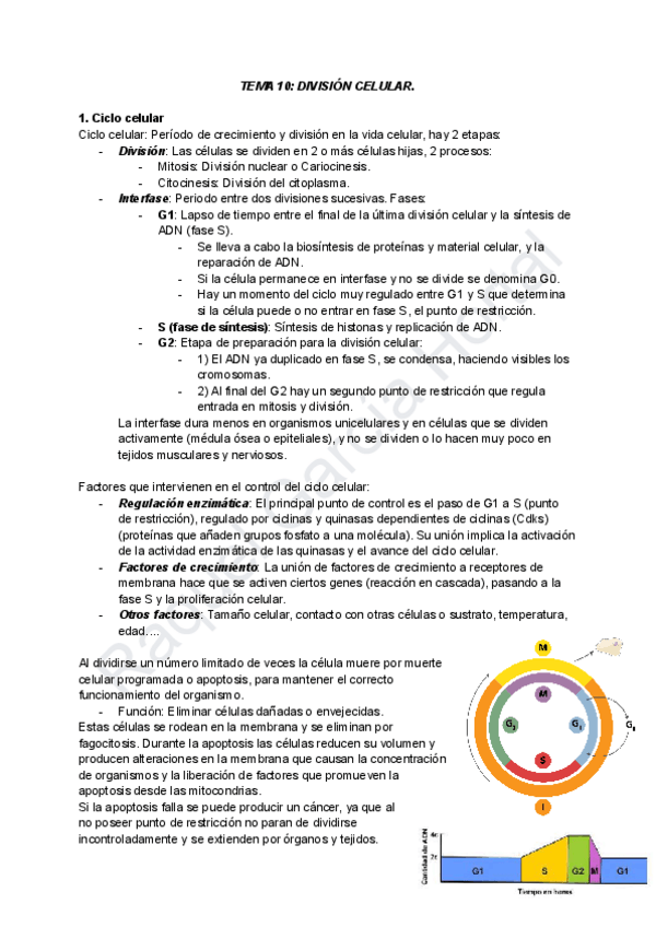 Miniatura del documento TEMA-10-DIVISION-CELULAR.pdf