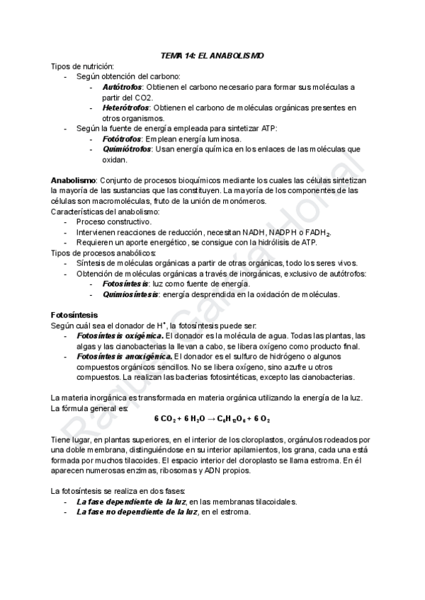 Miniatura del documento TEMA-14-EL-ANABOLISMO.pdf