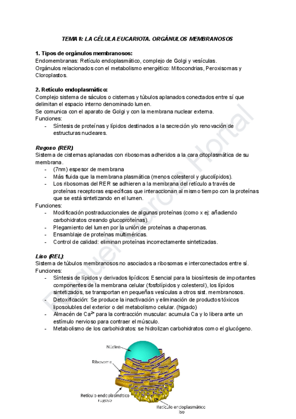 Miniatura del documento TEMA-8-LA-CELULA-EUCARIOTA.pdf