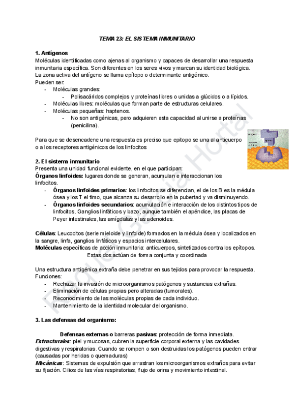 Miniatura del documento TEMA-23-EL-SISTEMA-INMUNITARIO.pdf