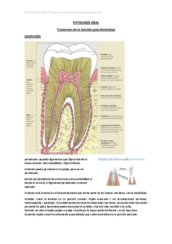 Miniatura del documento PATOLOGIA-ORAL.pdf