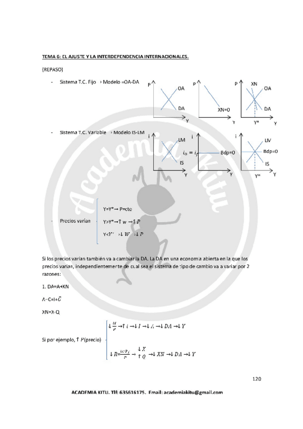 Miniatura del documento TEMA 6.pdf