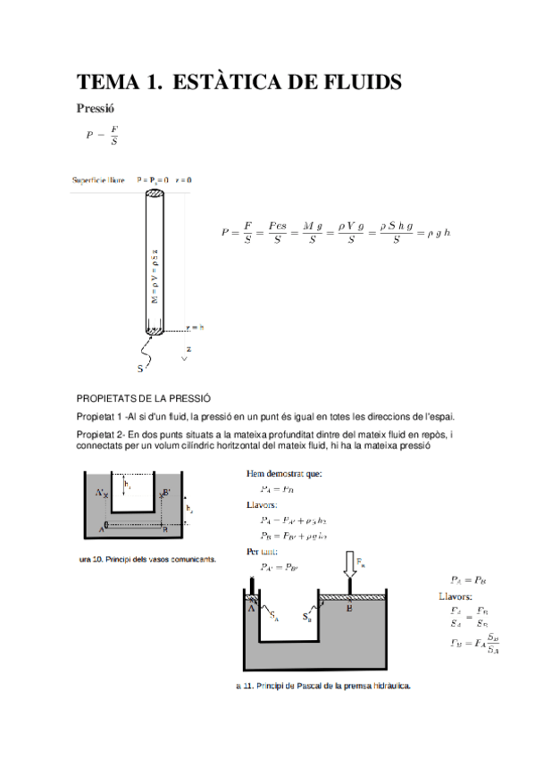 Miniatura del documento resum-tema-1.pdf
