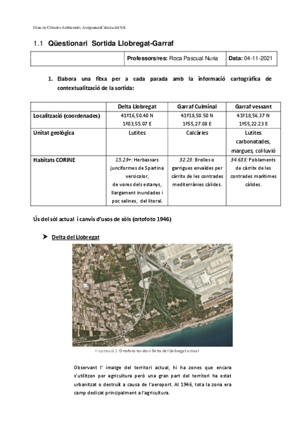 Miniatura del documento CDS-Questionari-Llo-Garraf.pdf