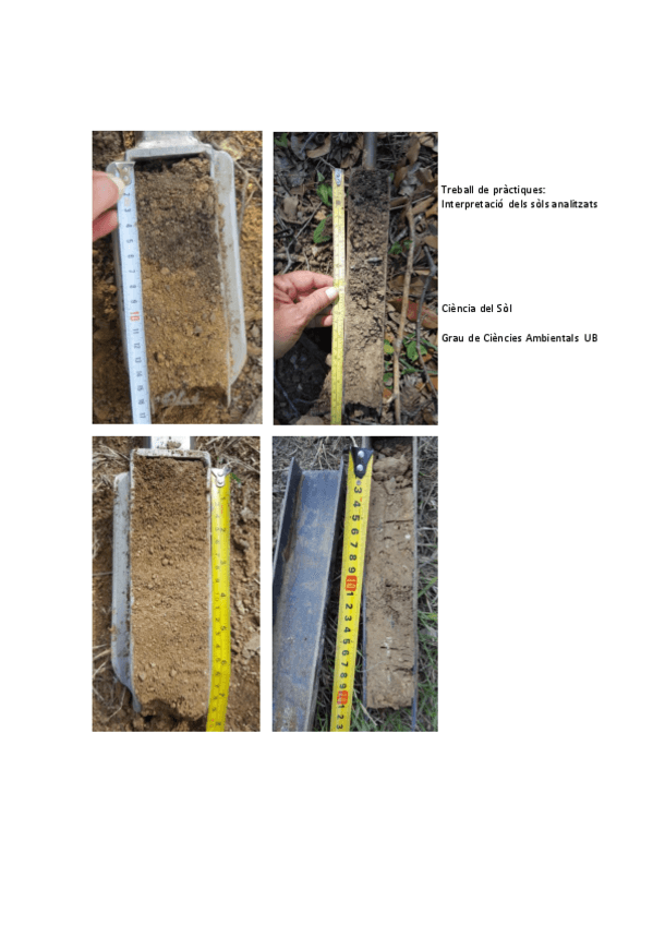 Miniatura del documento Treball-de-Practiques-.pdf