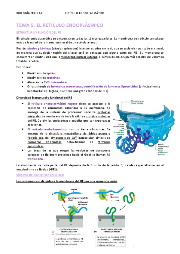 Miniatura del documento TEMA-5.pdf